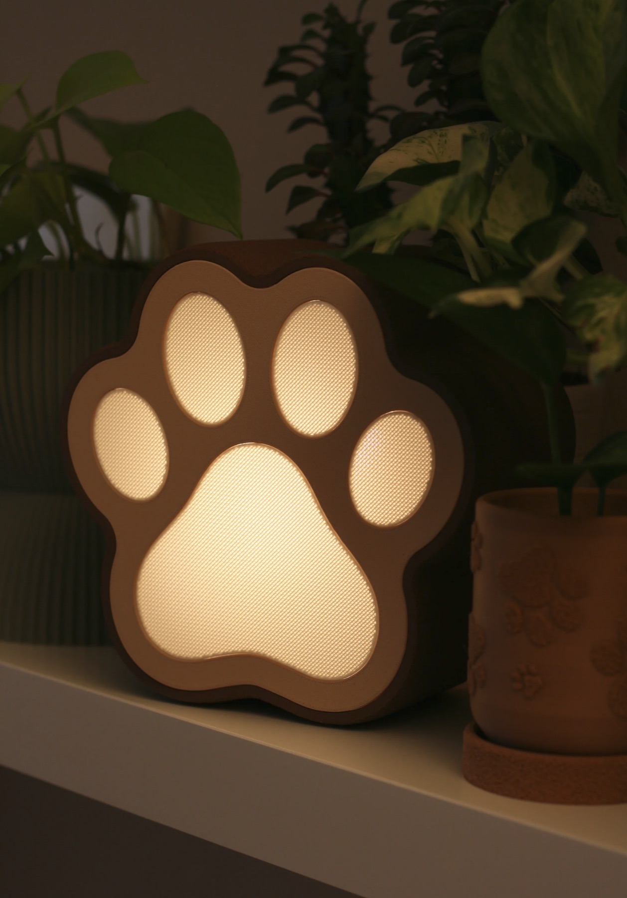 PawGlow, фотография 1
