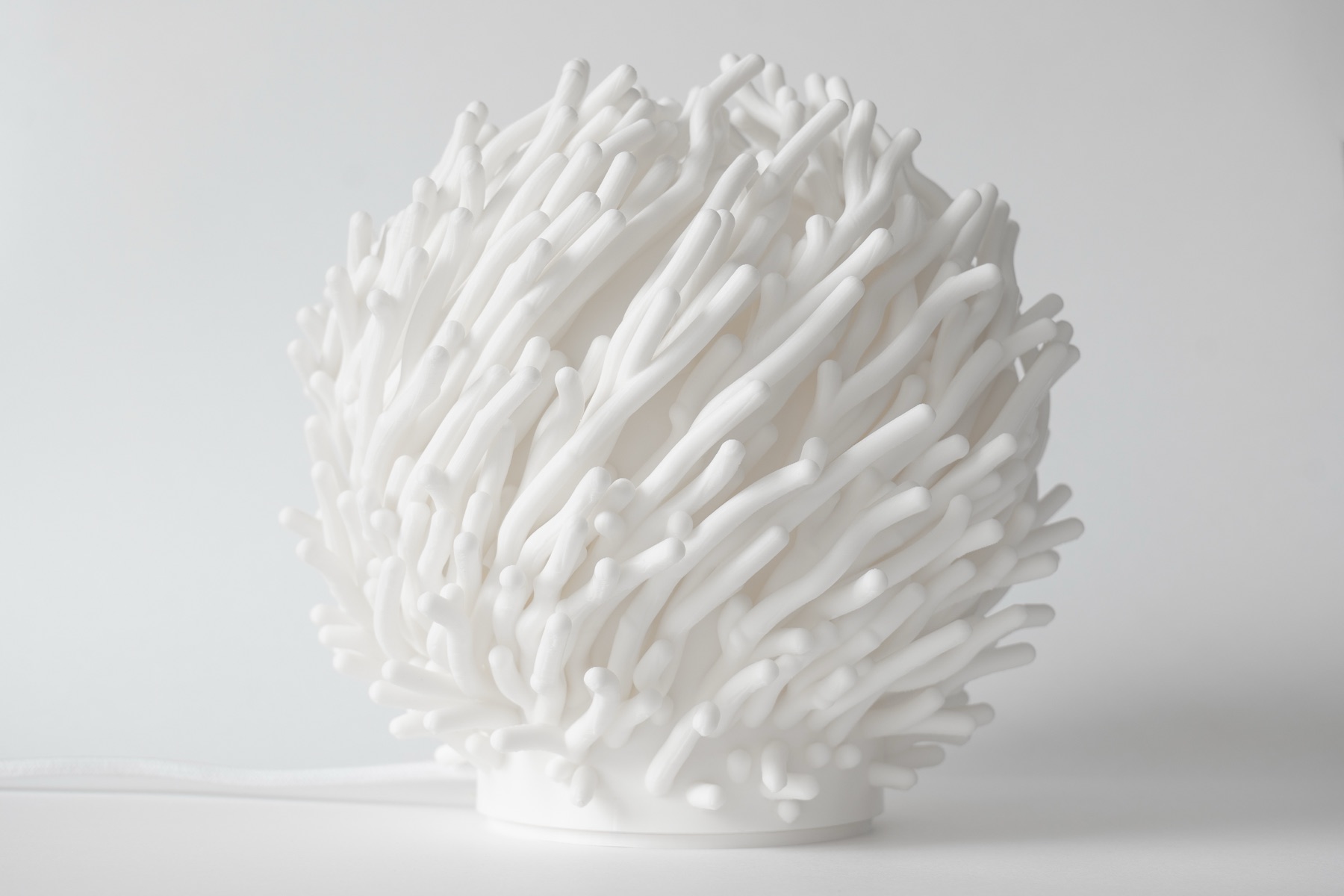 Coral, фотография 1